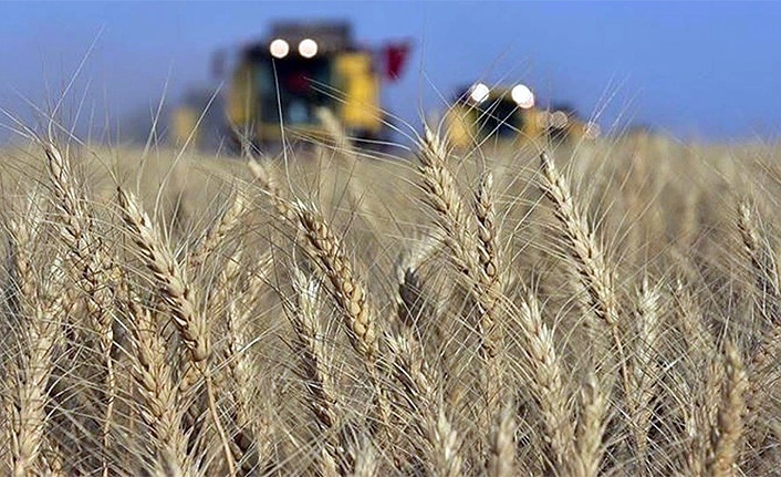 Buğday ve arpa alım fiyatı açıklandı
